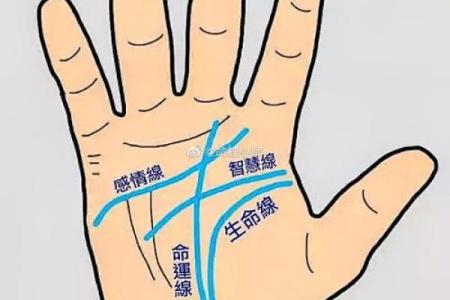 深入解析女命八字中的食伤：智慧与情感的交织