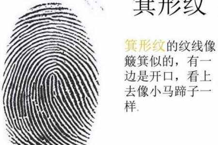 探索两斗八个簸箕的命理秘密：人生的星光与轨迹