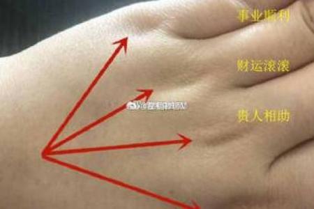女命庇护婚姻的深刻意义与智慧探讨