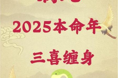 牛与老鼠生肖命理解析:相生相克的神秘关系