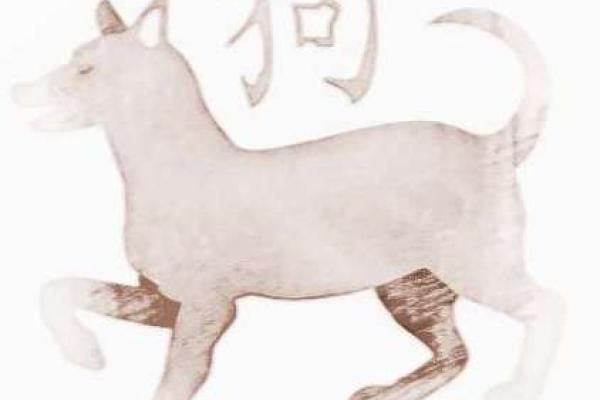 探秘九月狗的五行命理：你的命运由此改变