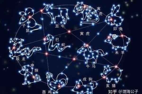 探秘九月狗的五行命理：你的命运由此改变