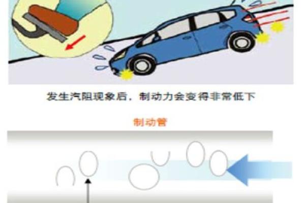 适合命缺水人士的汽车选择指南：如何挑选与水相辅相成的爱车