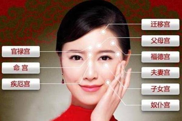 揭开女子龙虎命的神秘面纱：命理与人生的交织