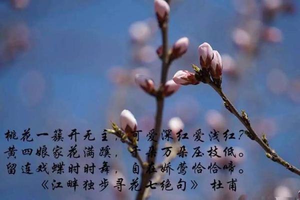 男生桃花入命：解读命理中的爱情运势与桃花运