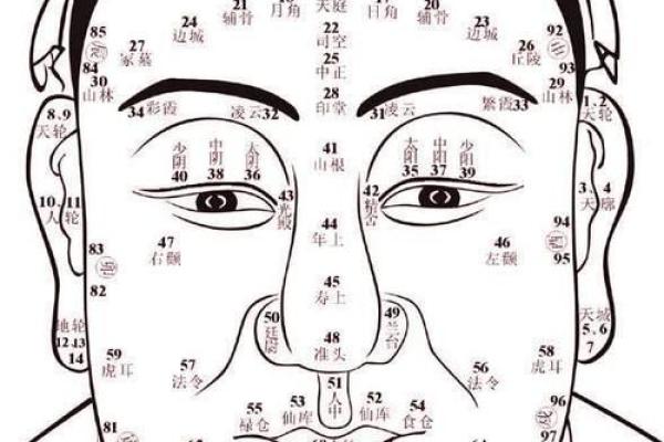 通过面相解析王爷命，揭示你的命运密码