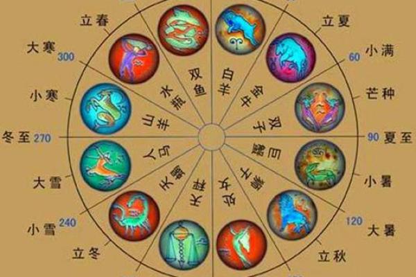 女命八字中的星官解析：揭开命理的神秘面纱