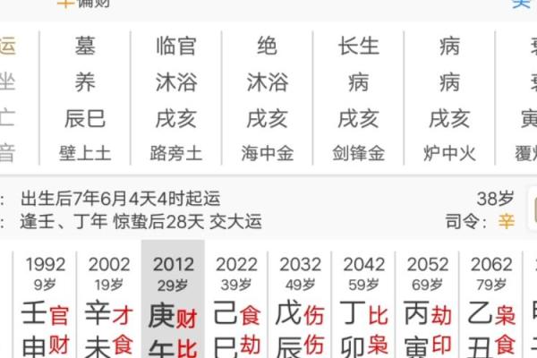 命局解析：如何通过关键指标洞察人生轨迹与发展方向