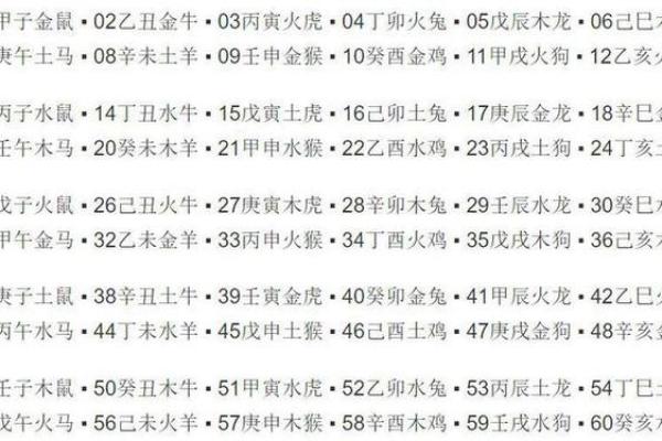 男命时柱养：解析时柱对命运的影响与调和之道