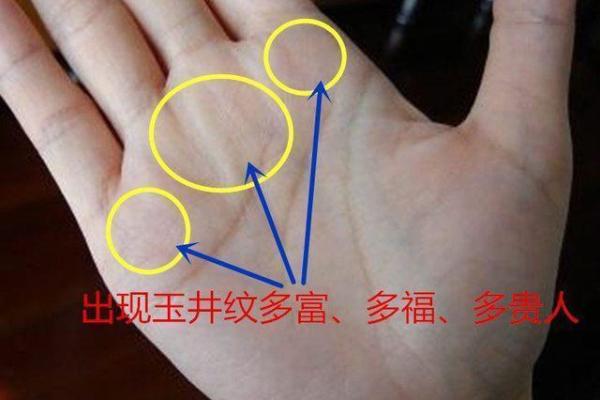 命局中的三个国印：象征、意义与解析