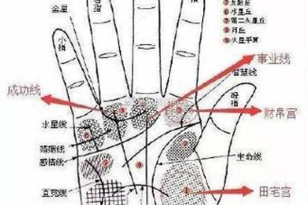 探秘命理：为何伤官命格可以旺夫？