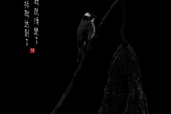 命里带刀，暗示人生的锋利与挑战，如何应对？