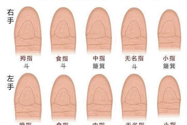 女性命理中的沐浴星：深度解析与生活运势的关系