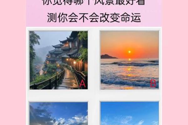 你是什么命就是什么命：解读命运与选择的奇妙关系