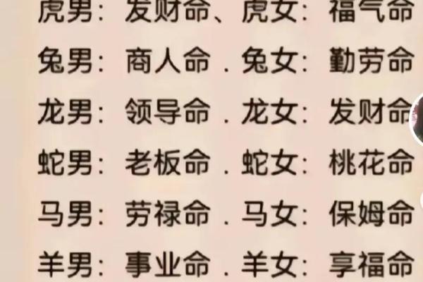 探索生命的意义：零命、一命、二命的深刻寓意