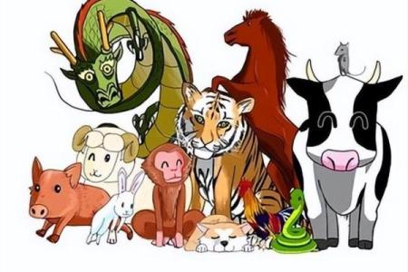 龙年出生的人命运为何多波折?探寻背后的深层原因