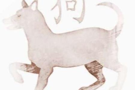 探秘九月狗的五行命理：你的命运由此改变