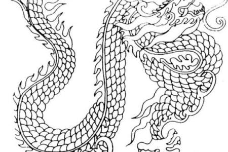 男生纹龙命的命运解析:吉祥与挑战并存之路