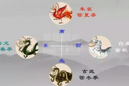 六乙鼠贵命:探寻命理中的深意与人生启示