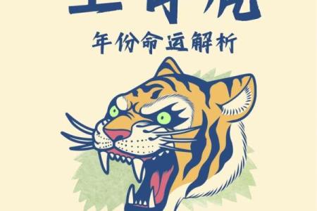 炉中火命的商机:适合从事的买卖与发展之路