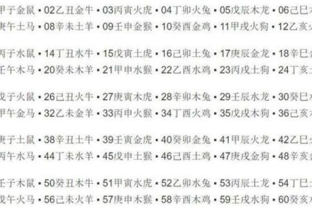 男命时柱养：解析时柱对命运的影响与调和之道
