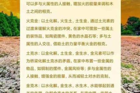 炉中火命:探索五行中的热力与激情之源