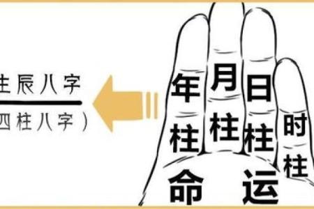 深入探讨：女人八字解析与命运的奥秘