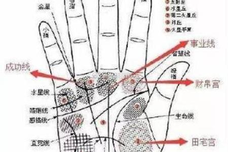 探秘命理：为何伤官命格可以旺夫？