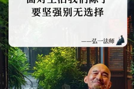 老年多病者:命运与人生的智慧之旅