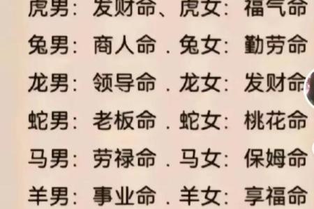 探索生命的意义:零命、一命、二命的深刻寓意