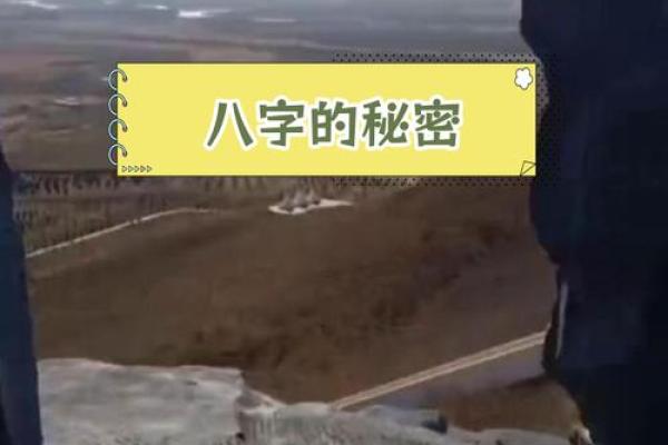 探索命理：男命肥胖揭示的八字秘密