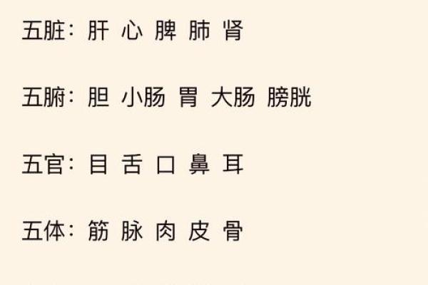 探秘五行相生：木命与土命的深层关系