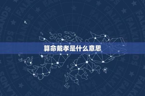 揭开命理中的秘密：本命花的深层含义与象征命理学源远流长，其中包含了丰富的文化与哲学内涵。而在命理的众