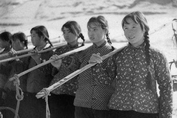 探索1965年出生者的命运与人生轨迹