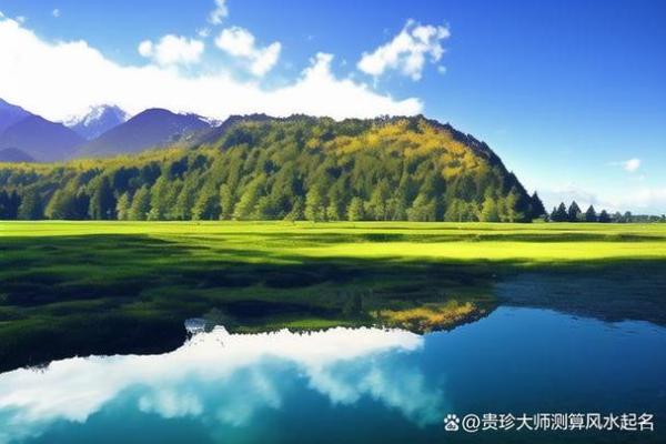 探索楼层与命理的奇妙关系：居住空间中的命运之谜