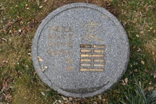 震卦解读：探寻震动背后的深意与智慧