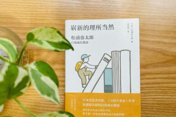 震卦解读：探寻震动背后的深意与智慧