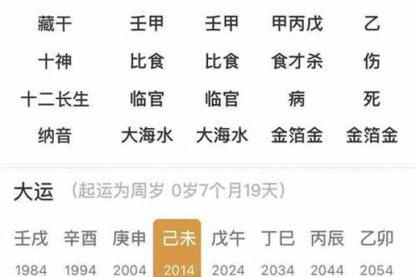 戊午女命：适合的职业与发展方向分析