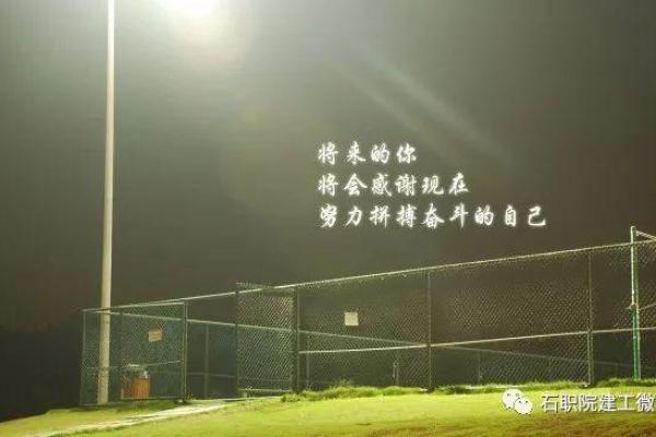年干七杀女命解析：独立与奋斗的象征