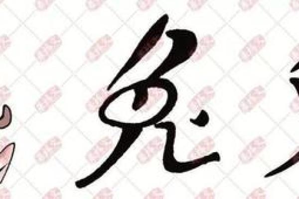 命里有两个兔：解读双兔之谜与人生启示