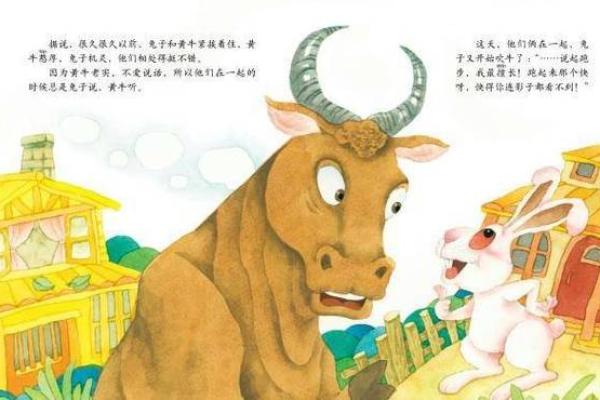 命里有两个兔：解读双兔之谜与人生启示