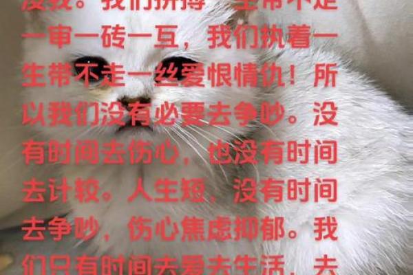 拼了命爱个女孩：爱的执着与成长历程