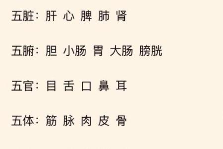 探秘五行相生:木命与土命的深层关系