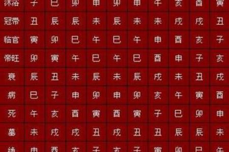 命理揭秘:如何通过命理调整自己的命格,改变人生轨迹