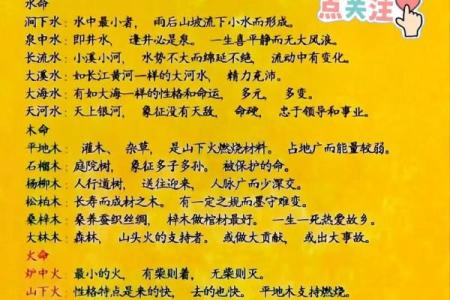 六十岁属什么命:五行与生命的哲学探讨