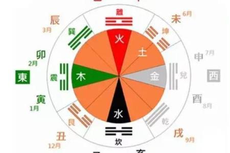 如何为木命人士选择合适的汽车：风格与功能的完美结合
