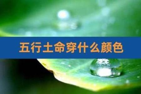路旁土命之人,最忌讳的命理组合分析与应对策略