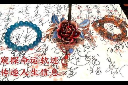 探索1965年出生者的命运与人生轨迹