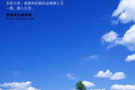 命里有直道,人生的顺畅之路与智慧启示