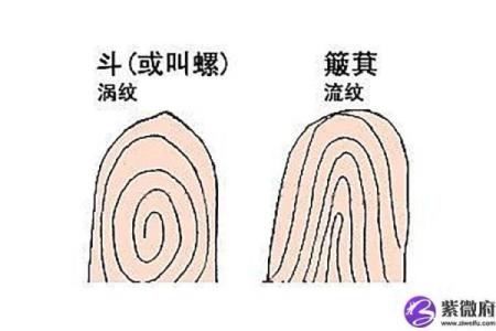 探秘男人手上九簸箕的命运之谜：如何解读人生轨迹与机遇